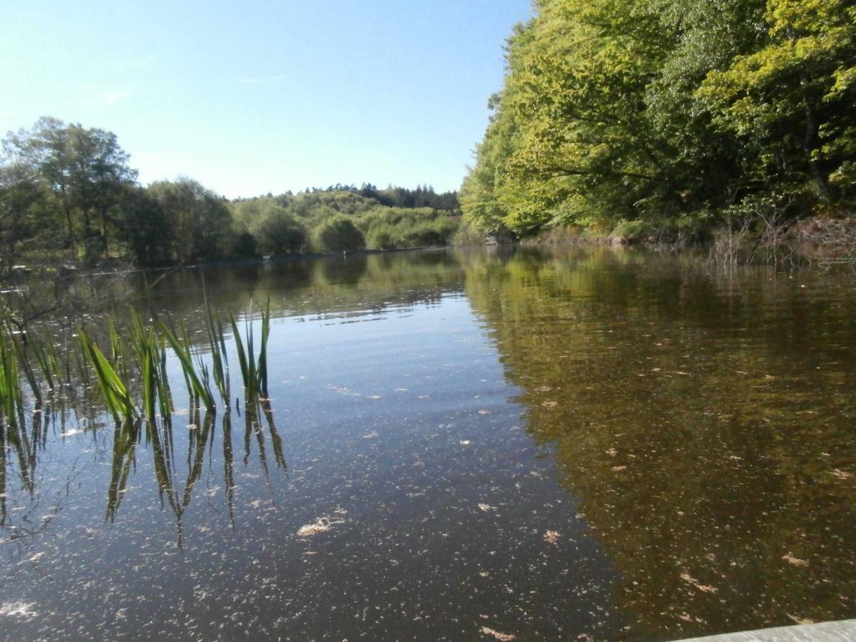 Le Crusoe A L'Etang D'Anty - Appartement Saint-Nabord Exterior foto